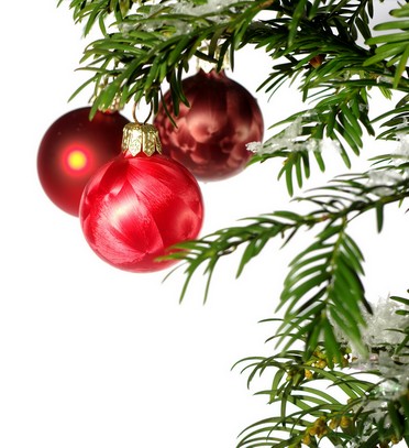 Vánoční tradice a zvyky