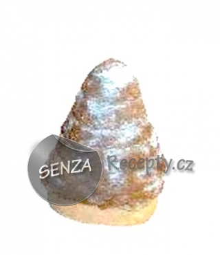 Vosí hnízda