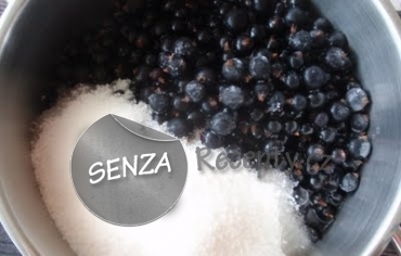 Sorbet z černého rybízu a máty
