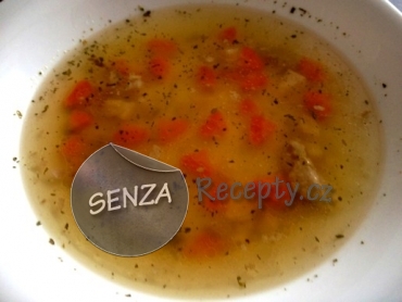 Slepičí vývar s masem