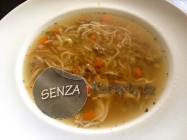 Slepičí polévka