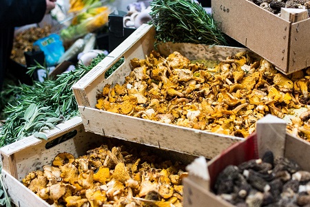 foodiesfeed.com-mushrooms-at-farmers-market-s1.jpg